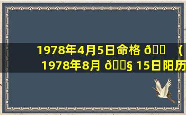 1978年4月5日命格 🐠 （1978年8月 🐧 15日阳历是多少号）